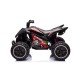 Elektrische quad voor kinderen KIDS ATV 2x30W | Minicars.nl