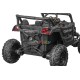 Elektrische Buggy 2 Personen 4x4 12V 4x30W | Minicars.fr