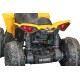 Quad Elettrico Bambini Can-Am Renegade 2x35W Telecomando | Minicars.fr