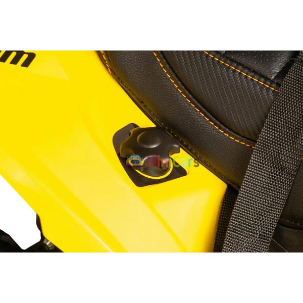 Elektrische quad Can-Am Renegade 2x35W voor kinderen | Minicars.nl