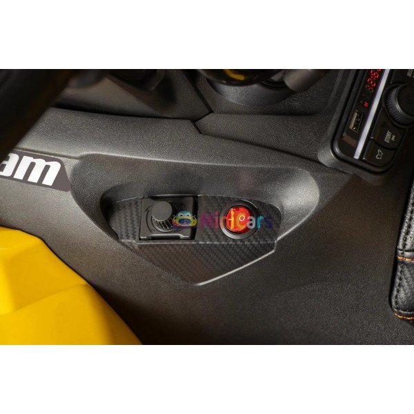 Quad Elettrico Bambini Can-Am Renegade 2x35W Telecomando | Minicars.fr
