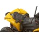 Elektro Quad Kinder Can-Am Renegade 2x35W Eltern-Fernbedienung | Minicars.fr