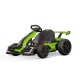 Elektrische F1 Kart voor Kinderen 24V 2x150W | Minicars.fr