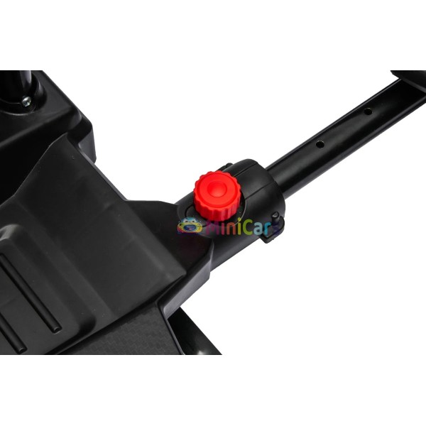 Elektrokart F1 Style Racing 24V 2x150W | Minicars.fr