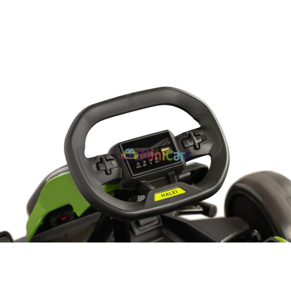 Elektrokart F1 Style Racing 24V 2x150W | Minicars.fr