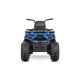 Elektrische Quad voor Kinderen DESERT CONQUERER 900 2x35W | Minicars.fr