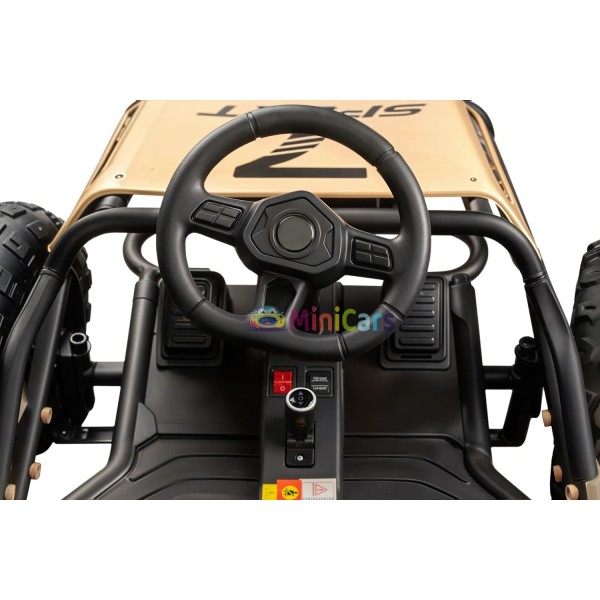 Elektrische Buggy 24V 2x55W Sport Racing | Minicars.nl