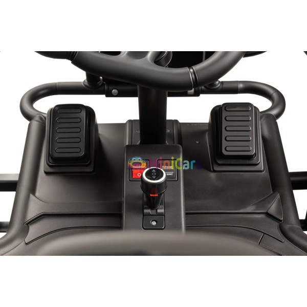 Elektrische Buggy 24V 2x55W Sport Racing | Minicars.nl