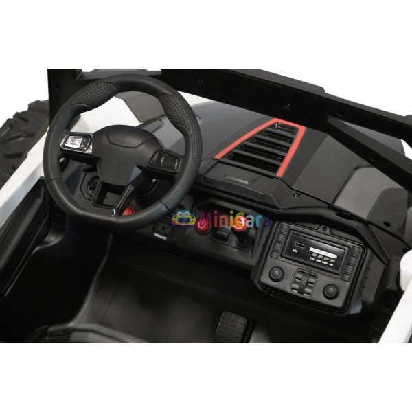 Buggy Elettrico Bimbi 2 Posti 24V 4x4 150W Trazione Integrale