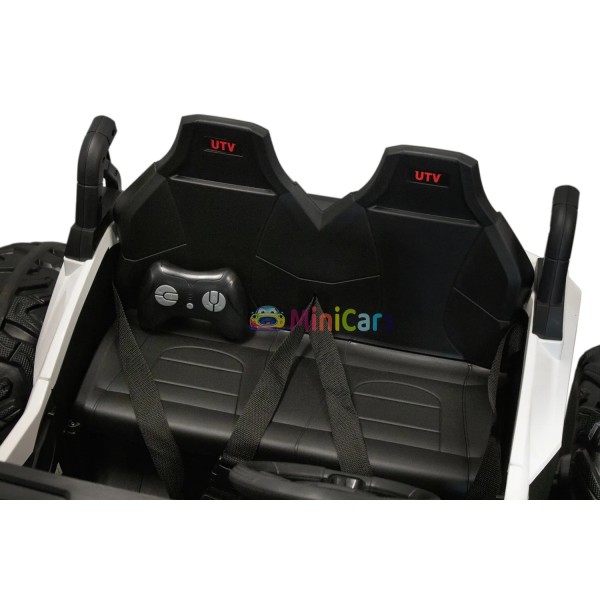 Elektro Buggy 2-Sitzer 24V Allrad 4x150W Monster Truck | Minicars.fr