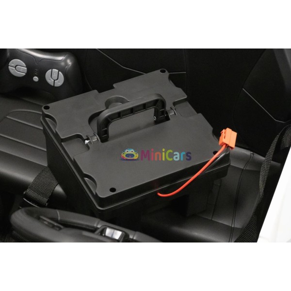 Elektro Buggy 2-Sitzer 24V Allrad 4x150W Monster Truck | Minicars.fr