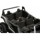 Buggy Eléctrico 4 Plazas 4x150W 24V Tracción Integral | Minicars.fr