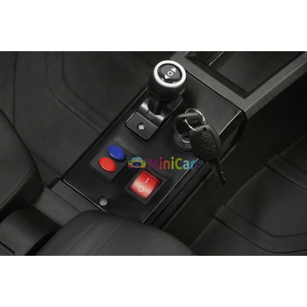 Buggy Elettrico 4 Posti 4x150W 24V Trazione Integrale | Minicars.fr