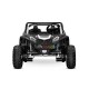 Buggy Elettrico 4 Posti 4x150W 24V Trazione Integrale | Minicars.fr
