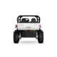Kinder Elektro Buggy 2-Sitzer 4x35W Allrad Geländewagen | Minicars.fr